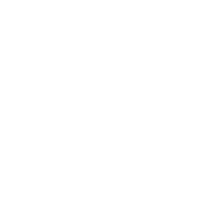 DZS-logo