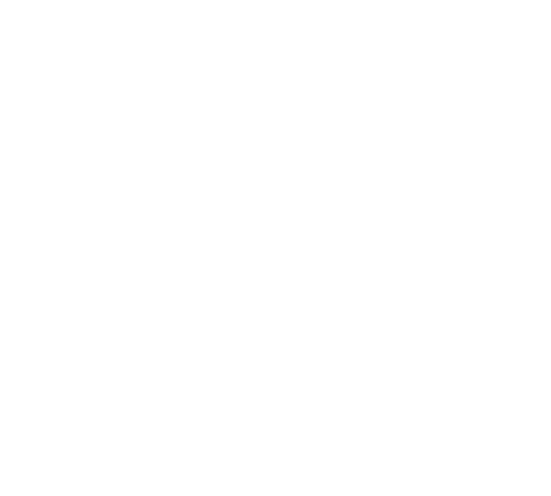 Optical Edge icon